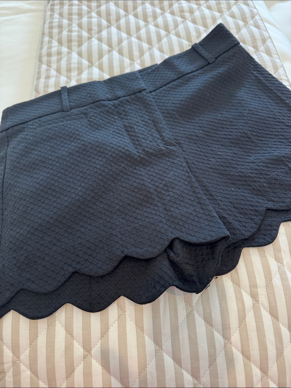 NWT Ann Taylor Black Scalloped Hem Textured RIVIERA Shorts